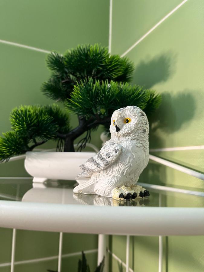 Apartman Studio Diamond 수보티차 외부 사진